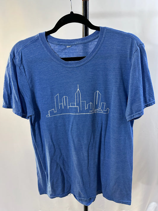 Basic Graphic of NYC